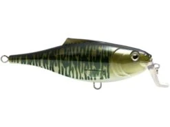 BullDozer 20 BullDozer -Abu Garcia Sales Store d7MK7KbiGseYE4itwWca4hMI4