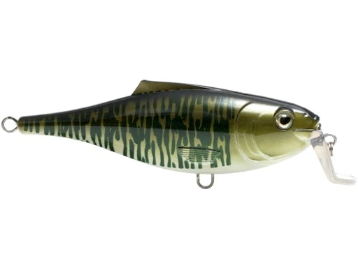 BullDozer 11 BullDozer - Image 9