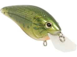 Primetyme CB 1.5 -Abu Garcia Sales Store dlgcXkbYdiOHOXPhYYUb869dk