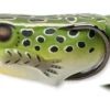 Hollow Body Frog Popper -Abu Garcia Sales Store eEEg5Xvij1uB3vbOd6X6C TdM