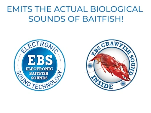 Howeller DMC SQ 6 Howeller DMC SQ - Image 4