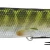 Juvenile Pike Swimbait -Abu Garcia Sales Store f7W25n34VUSjWa8kHu9Svnp5I