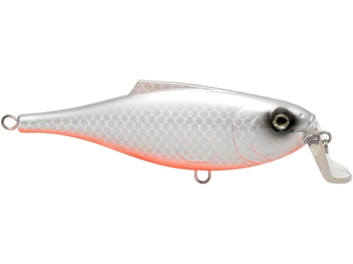 BullDozer 6 BullDozer - Image 4