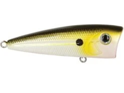 Walk N Pop 67 -Abu Garcia Sales Store gFmKH3Khv0PH 5cCUy4I9XkBg