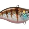 Z-Series Lipless Crankbait -Abu Garcia Sales Store hKgFFkvud1CMiSpFeeOIfRB0Y