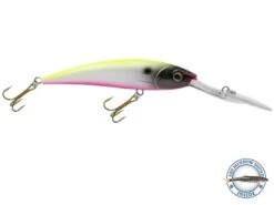Interceptor -Abu Garcia Sales Store hxJAsUCRE7yXi8T0a7UIAq34g