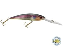 Interceptor -Abu Garcia Sales Store j WsDAq9TAn23cYY6 5BmAqtc