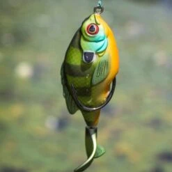 Topwater Combo 14 Topwater Combo -Abu Garcia Sales Store kZT2IQup 0glVCaS46lWODz0M