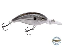 Deep Impact 6 -Abu Garcia Sales Store kgKm6GNFVdxBrSWzMGqLye7jI