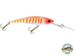 Interceptor -Abu Garcia Sales Store kyhpGX5xEE8rx rfeSwe62 RU