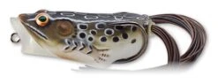 Hollow Body Frog Popper -Abu Garcia Sales Store kyotoiIewbnerpu AsFFuaJHA