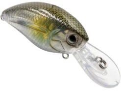 Howeller DMC Jr. -Abu Garcia Sales Store lAaYryWb wV0SJdLz A9llqvM