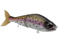 B Venom 6 -Abu Garcia Sales Store lxXLyfIRhoiB3yDr5MCDYuZjo