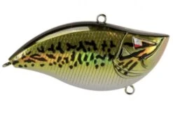 Z-Series Lipless Crankbait -Abu Garcia Sales Store pQtkKAIYsA9cTAs2n 95t4NY
