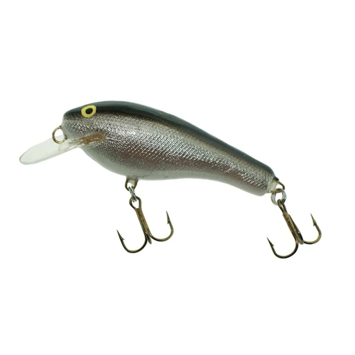 AC Shiners 00 3 AC Shiners 00