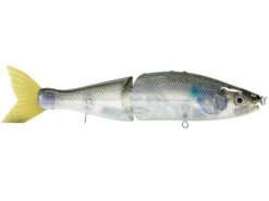 Venom 6 SW 15 Venom 6 SW -Abu Garcia Sales Store qfNFdnkzz5vI9HUFhPcIpkM g