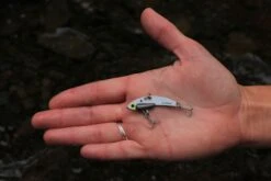 SteelShad Mini - 1/4 Oz - White Shad (2pk) -Abu Garcia Sales Store r8WYQRuVWYhsOvBz6UoIIEPRc