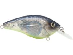 Primetyme CB 1.5 -Abu Garcia Sales Store rKHnmfLabrAvFxFC4jNjHcgS4