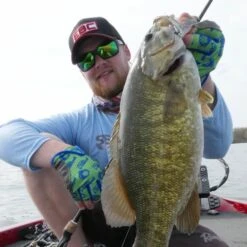 SteelShad Mini - 1/4 Oz - Sexy Shad (2pk) 22 SteelShad Mini - 1/4 Oz - Sexy Shad (2pk) -Abu Garcia Sales Store s KPxQTT7D3wHMh6axIx430Oc