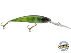 Interceptor -Abu Garcia Sales Store t4orgEpilsEPmYmSb5JMUbuto