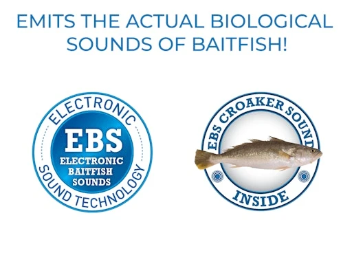 Pro Wake 4 Pro Wake - Image 2