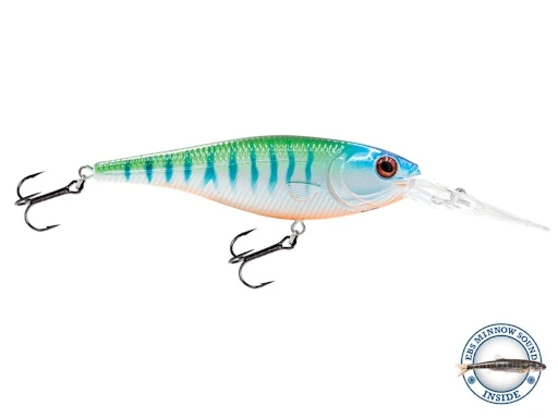 EBS Walleye 90 3 EBS Walleye 90