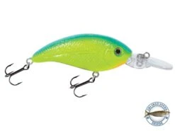 Deep Impact 6 -Abu Garcia Sales Store xW I9QCmSM0CWYEiH8ncZAdas