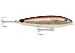 Rapala - Saltwater Skitter Walk -Abu Garcia Sales Store y6JkOaR9Kivvangq7Jm7O7e7E