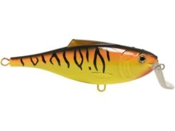 BullDozer 18 BullDozer -Abu Garcia Sales Store yPgakrXLkjnEVBQHbFI9bJXe8