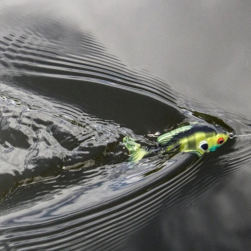 Topwater Combo 4 Topwater Combo - Image 2