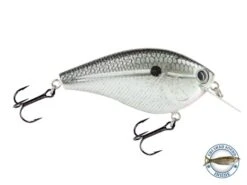 Primetyme SQ 2.0 -Abu Garcia Sales Store zeuhgjgxrWvE2hGpDQtZ6Dyt0